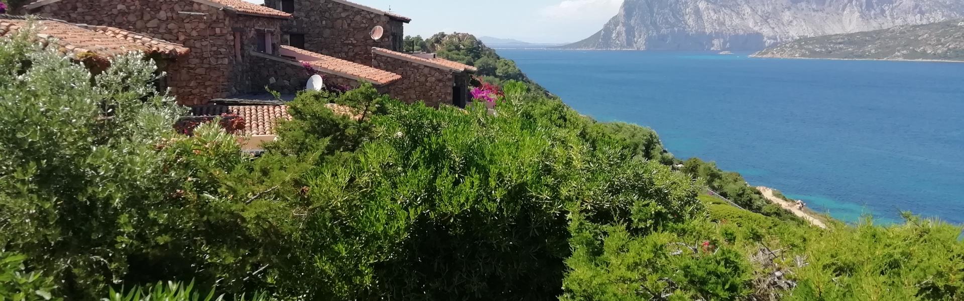 Capo Coda Cavallo Scenic View