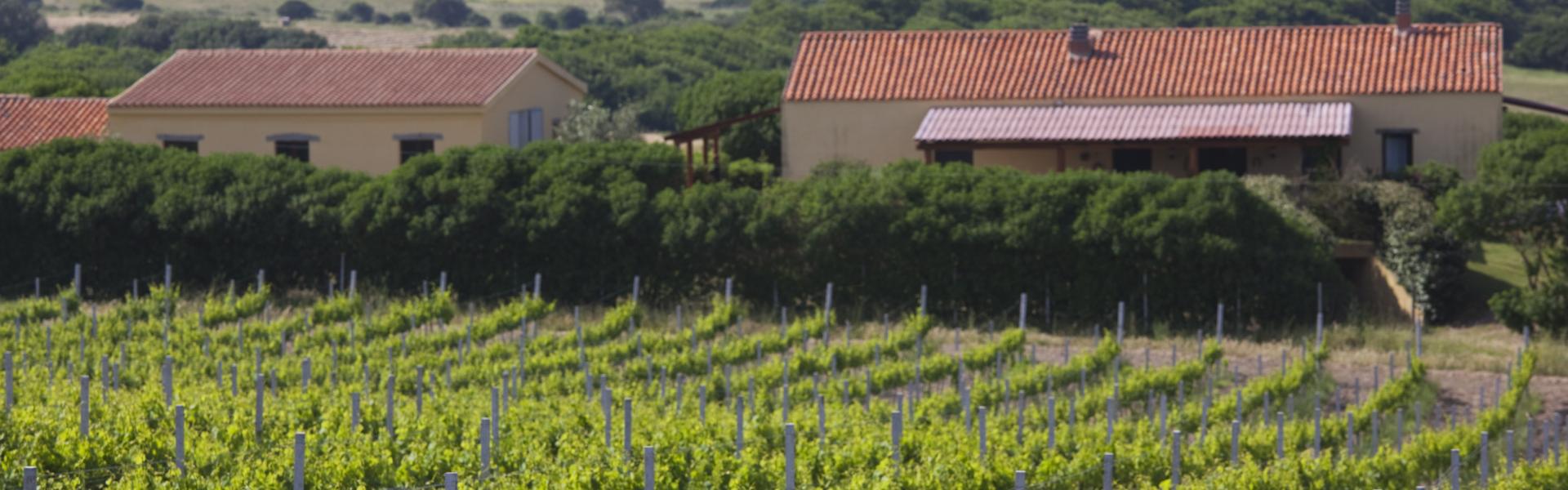 Vignola Mare Natural View