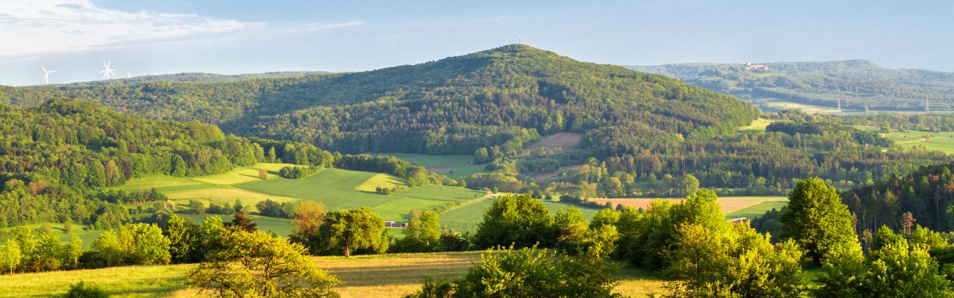Franken Natural View