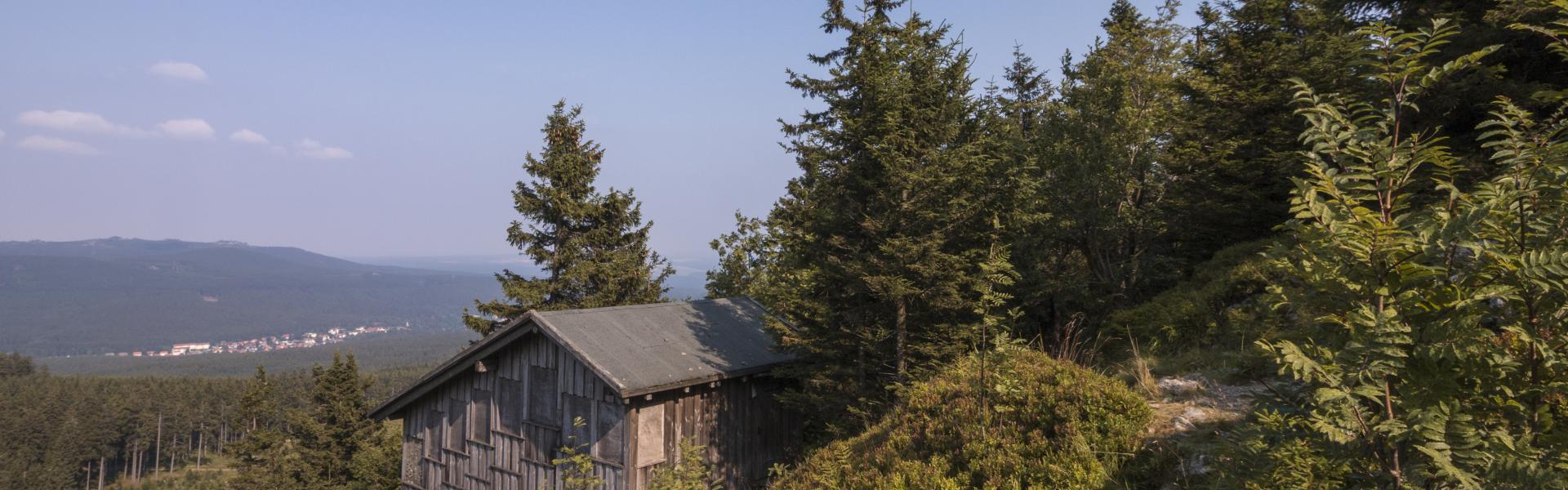 Chalet In Harz
