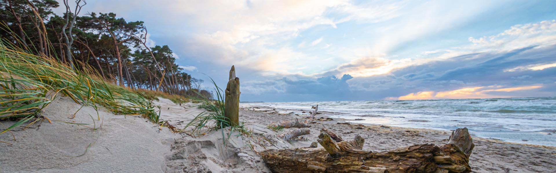 Zingst Scenic View