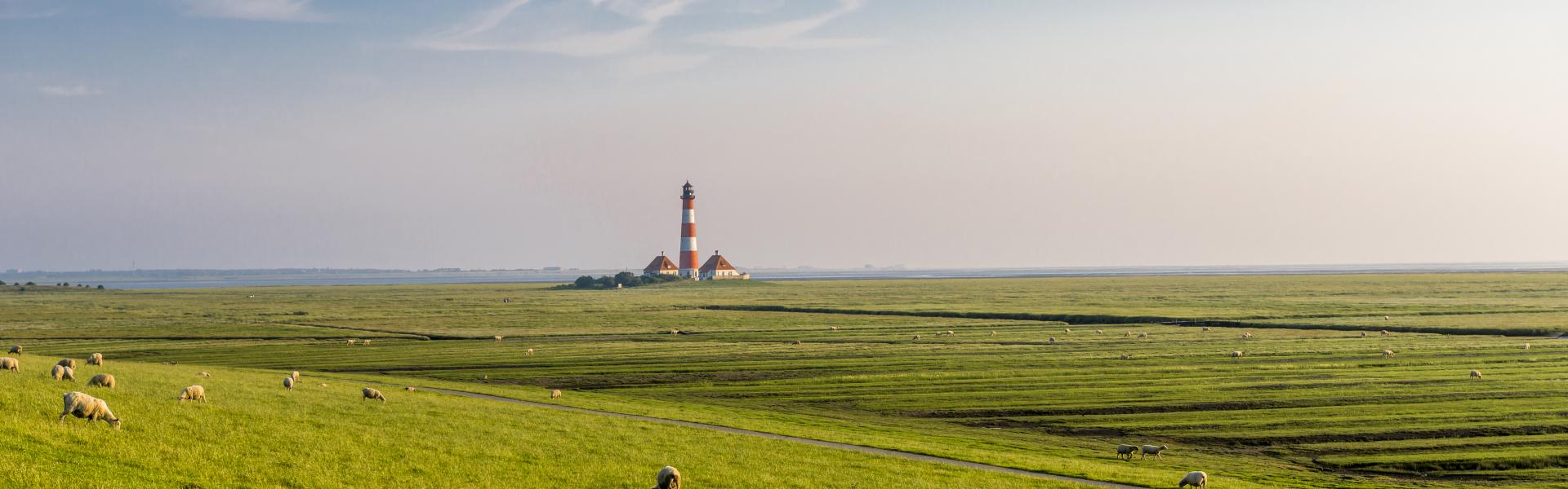 Nordfriesland Scenic View