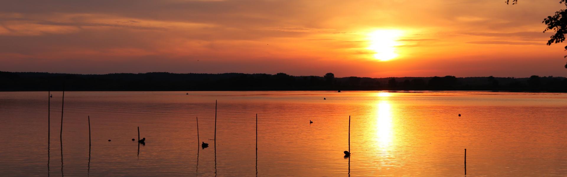 Neustrelitz Scenic View in Sunset