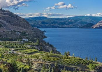 Sample world-class wines with vacation rentals in Osoyoos, Canada - HomeToGo