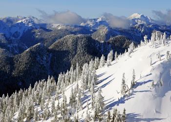 Make the best of winter and summer with a vacation rental in Sun Peaks - HomeToGo