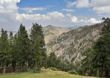 Stay at a peaceful vacation home by Nevada's Mount Charleston - HomeToGo