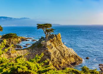 Pacific Grove vacation homes merge coast and culture - HomeToGo