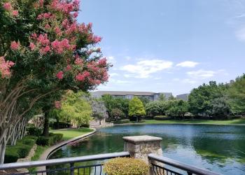 Relax in the suburbs of Dallas with vacation homes in Plano, Texas - HomeToGo