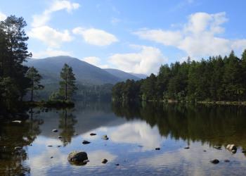 Aviemore Vacation Rentals: Feel at Home in Scottish Highlands - HomeToGo