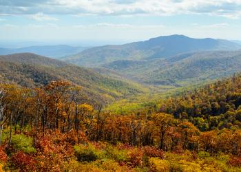 Explore the best of Rappahannock County with a vacation home - HomeToGo