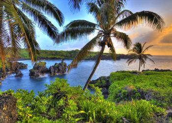 Vacation Rentals in Maui - HomeToGo