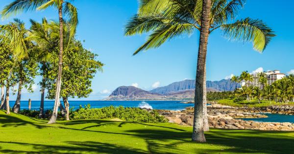 Watch dolphins play from your Ko Olina vacation rental - HomeToGo