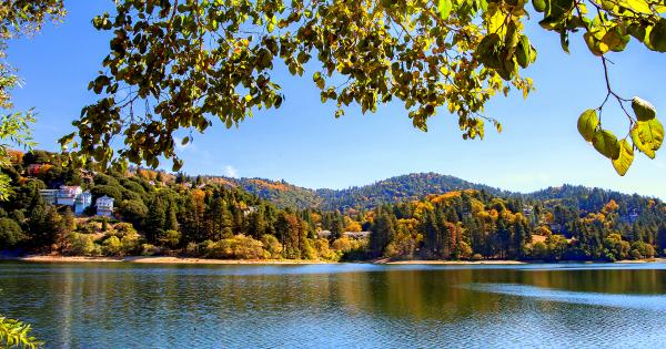 Cute alpine cabins, California: vacation rentals in Green Valley Lake - HomeToGo