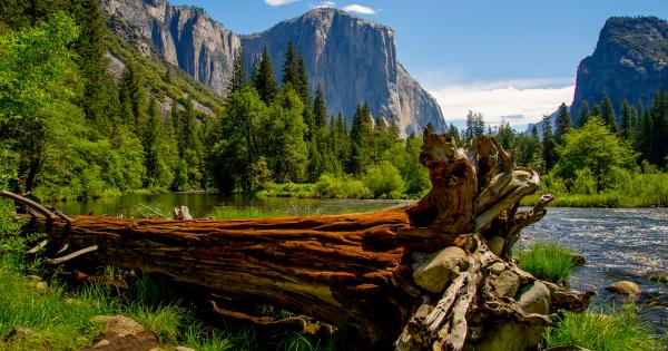 A vacation home at the gateway of the Yosemite Valley - Yosemite West - HomeToGo