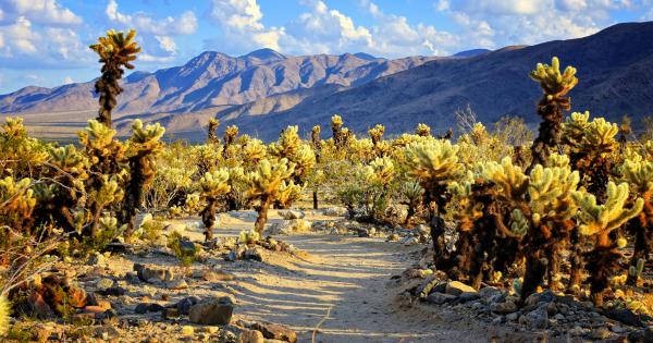 Soak in the atmosphere at Desert Hot Springs vacation homes - HomeToGo