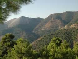 Landschaft Andalusiens