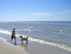 Strandurlaub mit Hund in Zandvoort