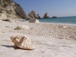 Strandurlaub im Ferienhaus mit Meerblick auf Elba