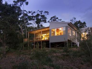 House Kitchen Dennes Point