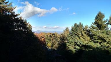 Cabin Boone