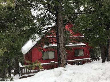 Cabin Cold Springs