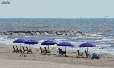 Condo Galveston