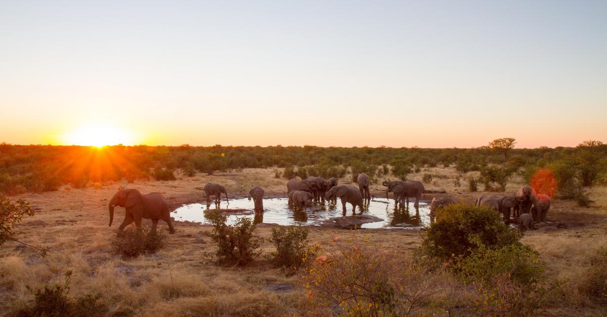 Ferienwohnungen Ferienhauser Fur Urlaub In Sudafrika Ab 24