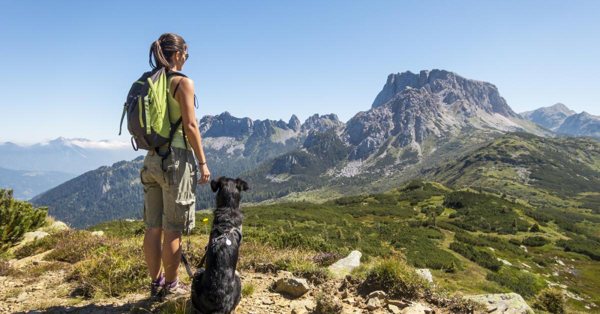 Urlaub In Den Bergen Mit Hund Top Reiseziele Hometogo