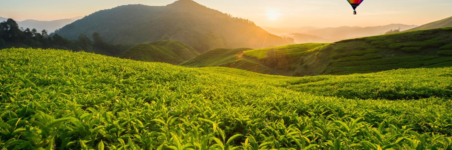 Ferienwohnungen Ferienhauser Fur Urlaub Auf Sri Lanka Ab 5