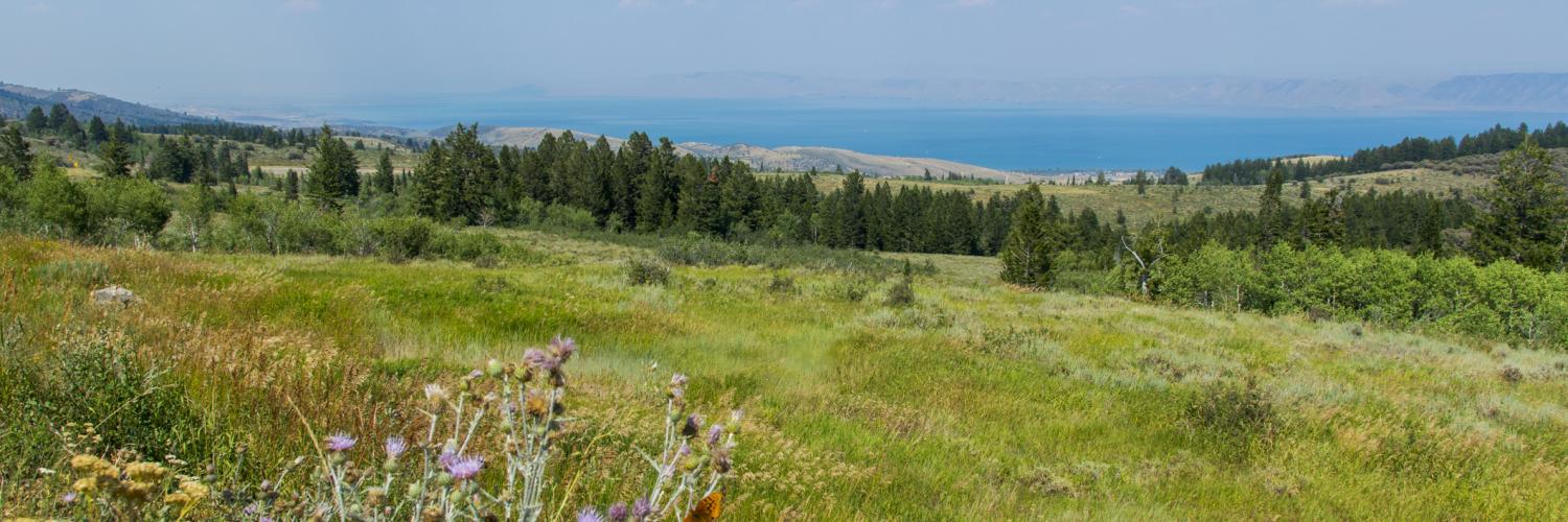 Bear Lake Vacation Rentals from 90 HomeToGo
