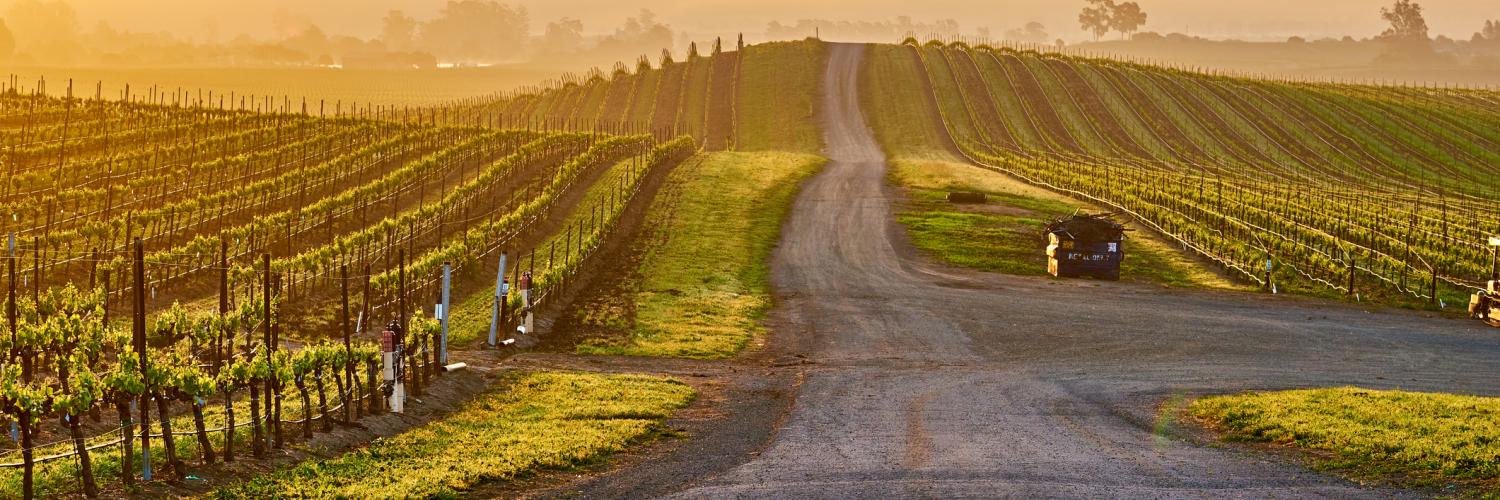 Guerneville Vacation Rentals from 188 HomeToGo