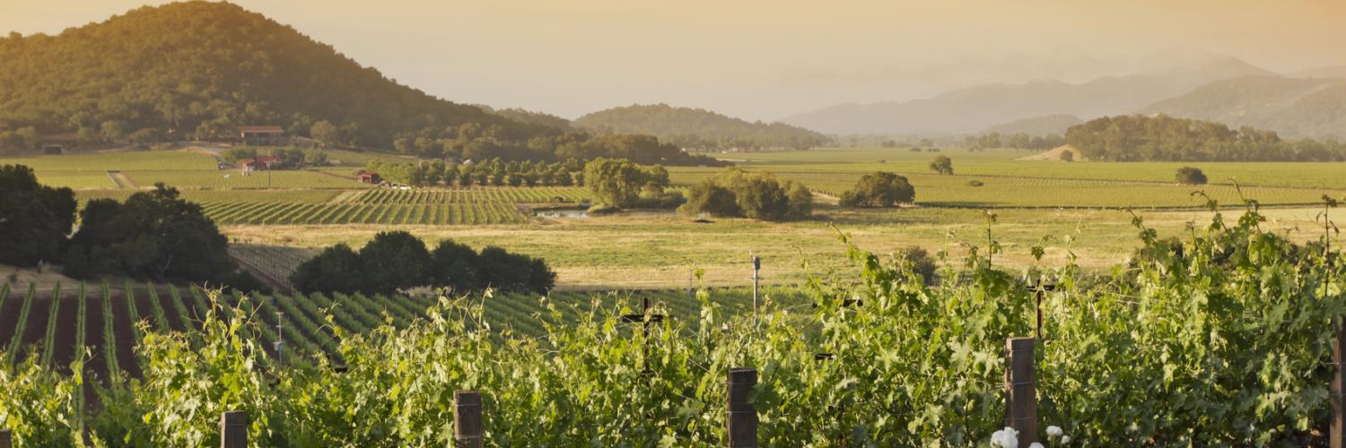 Holiday lettings & accommodation in Napa Valley - HomeToGo
