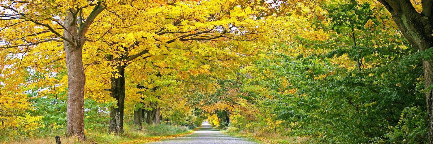 Foliage in Italia: dove andare - CaseVacanza.it