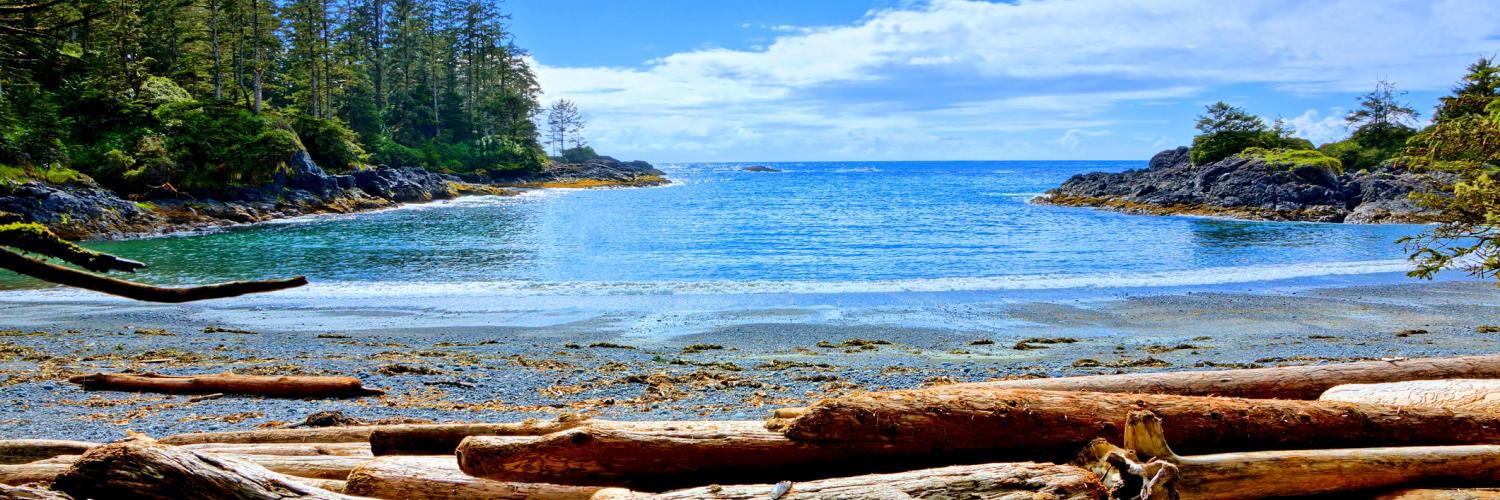 Holiday lettings & accommodation in Tofino - HomeToGo