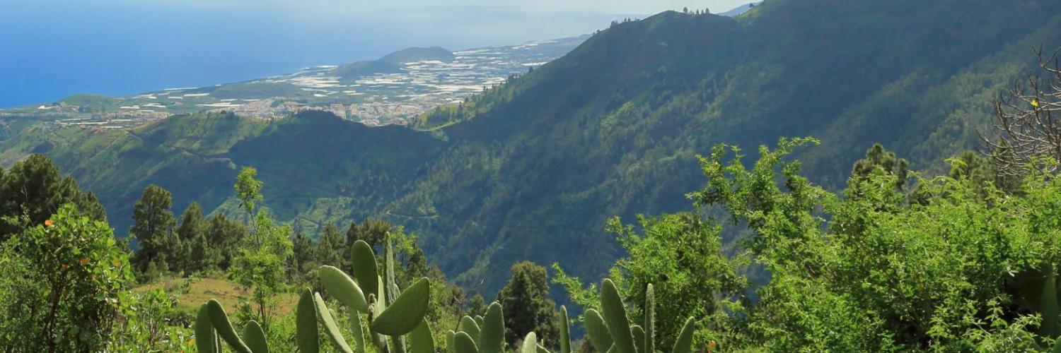 Die schönsten Ferienhäuser 
in La Palma - EuroRelais