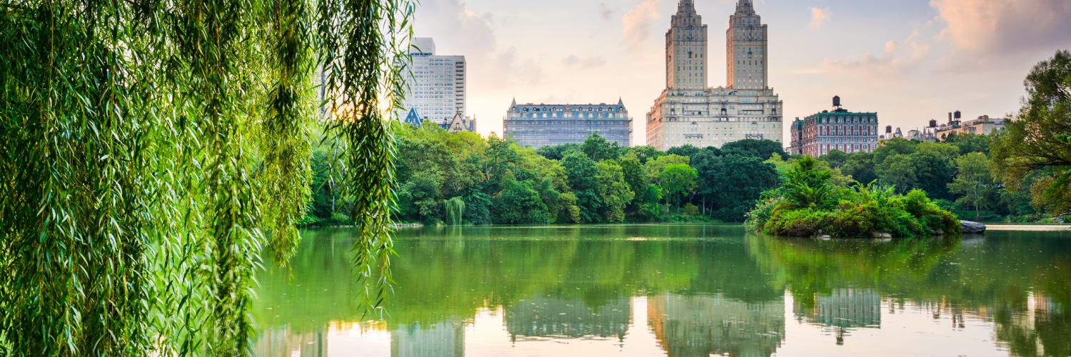 Hotels and Vacation Rentals Near Central Park - HomeToGo