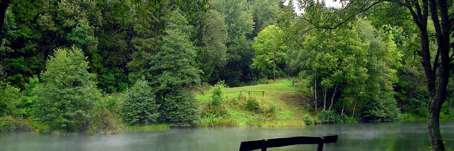 De vier mooiste natuurgebieden in de Ardennen