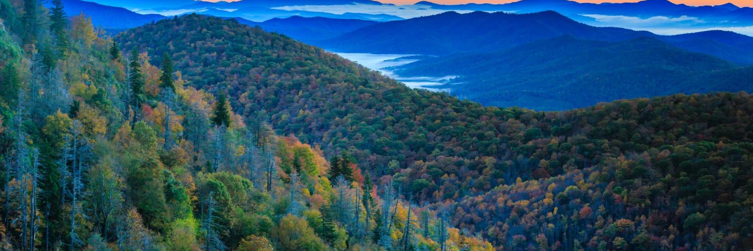 Cabins in the Blue Ridge Mountains - HomeToGo