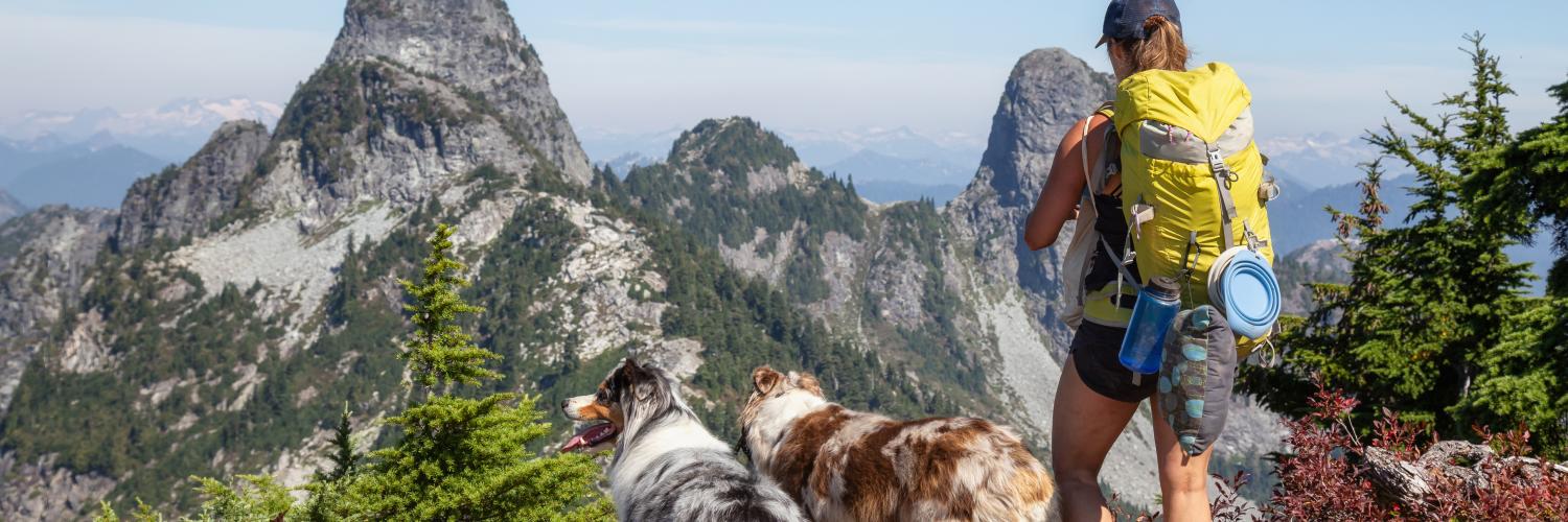 Dove andare in vacanza in montagna con il cane in Italia