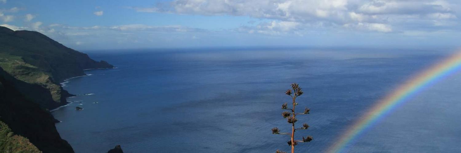 Die schönsten Ferienhäuser 
in Madeira - EuroRelais