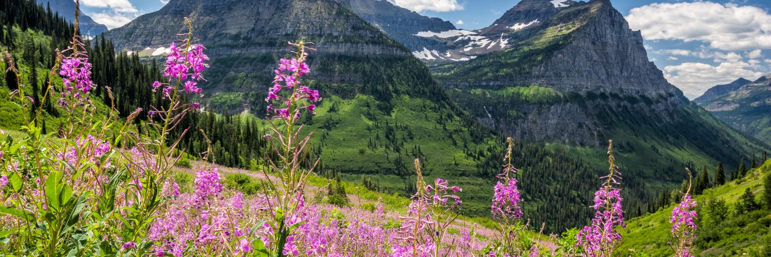 Holiday lettings & accommodation in Glacier National Park - HomeToGo