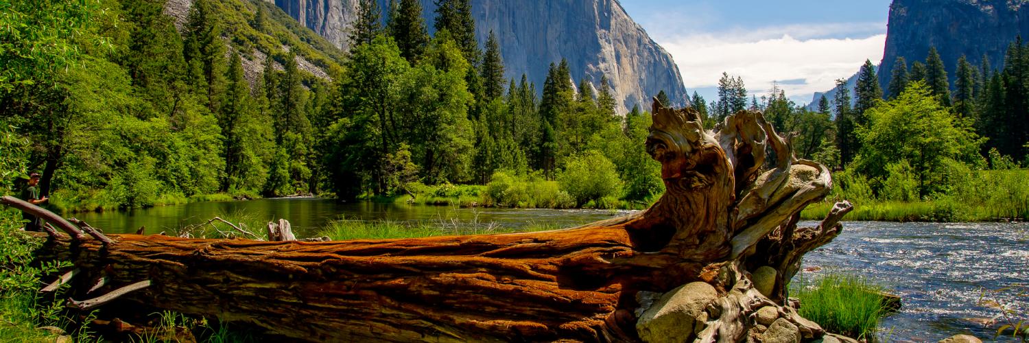 Yosemite West Vacation Rentals - HomeToGo