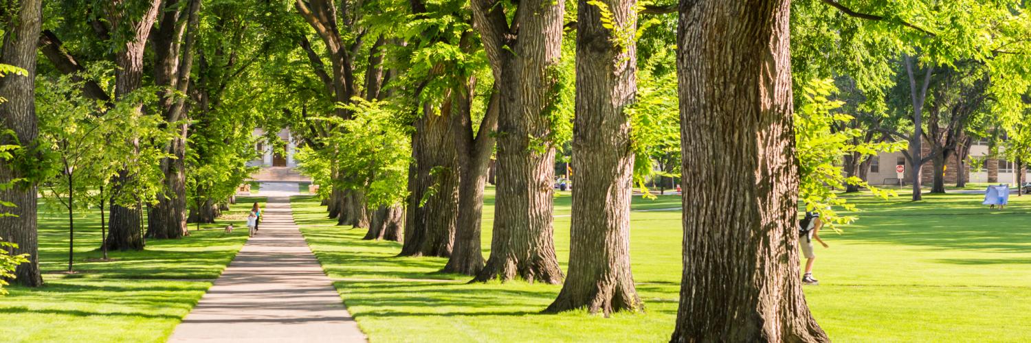 Fort Collins Vacation Rentals from 77 HomeToGo