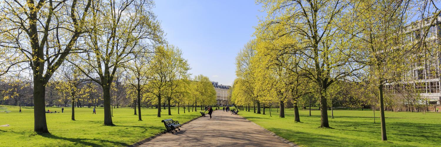 Holiday lettings & accommodation near Hyde Park - HomeToGo