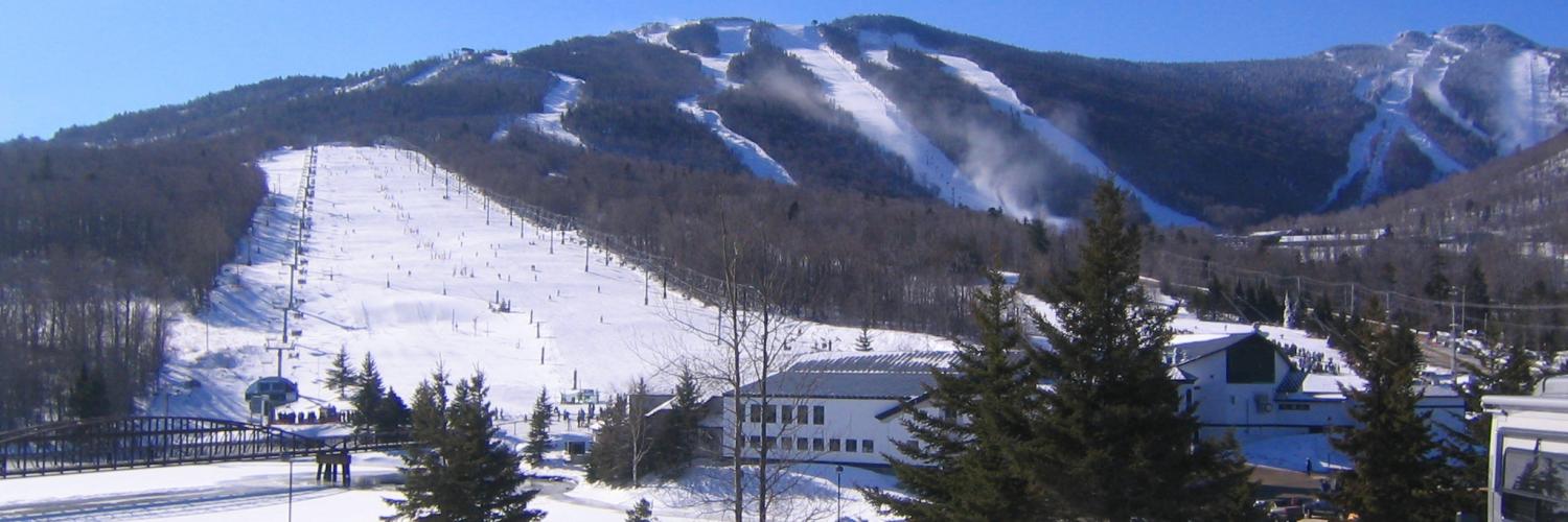 Stratton Mountain Vacation Rentals from 230 HomeToGo