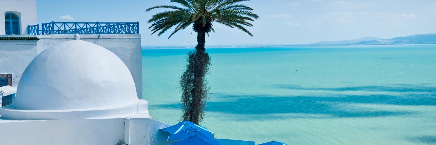 Locations de vacances, maisons d'hôtes en Tunisie - HomeToGo