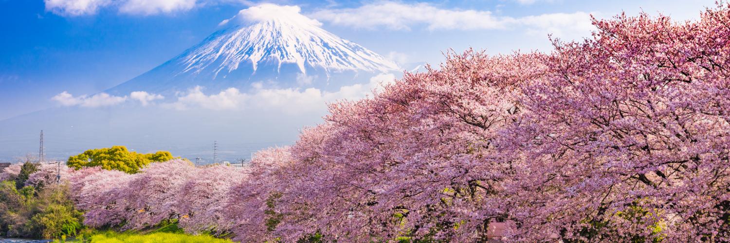 Holiday lettings & accommodation in Japan - HomeToGo