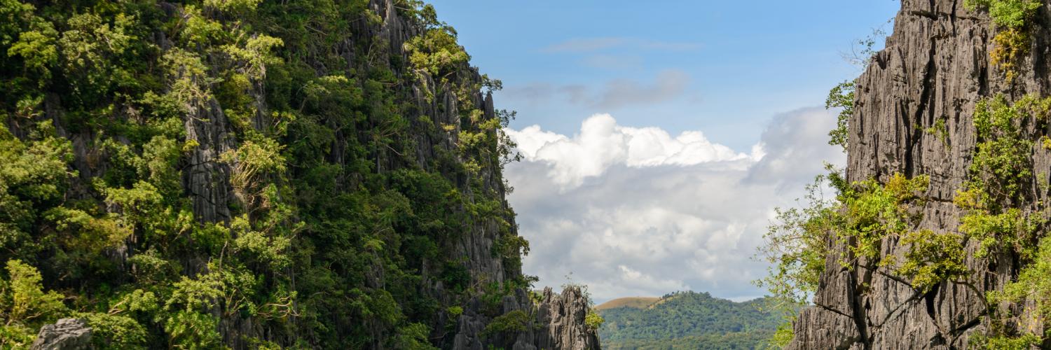 Holiday lettings & accommodation in El Nido - HomeToGo