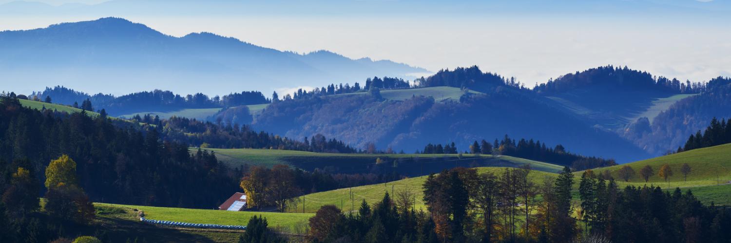 Ferienwohnungen Ferienhauser Fur Urlaub Im Schwarzwald Ab 40