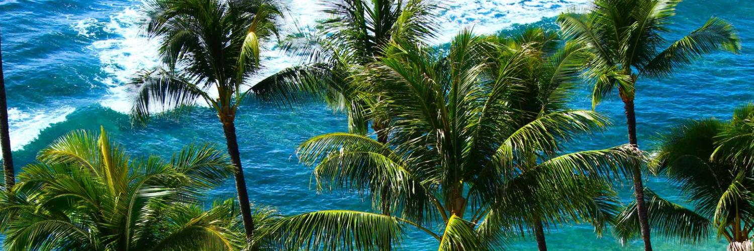 Locations de maisons et appartements de vacances en Guadeloupe - CASAMUNDO